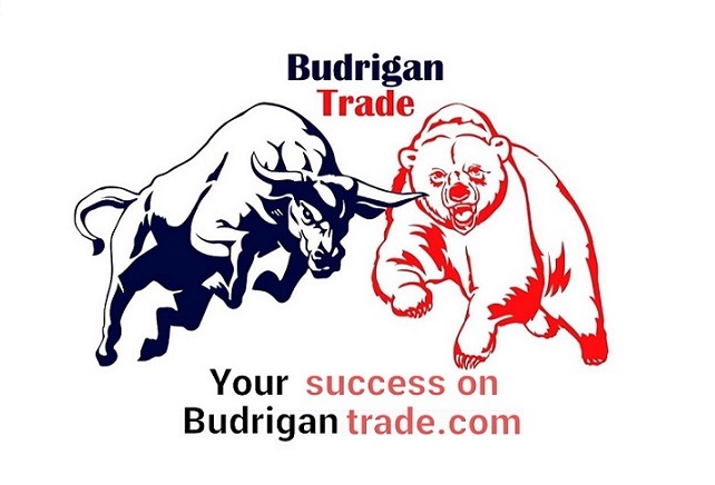 Market Outlook Series-Budrigantrade Review